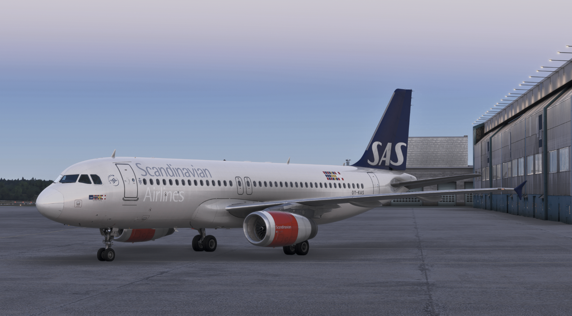 vSAS Airbus A320ceo in Scandinavian Airlines livery on the apron